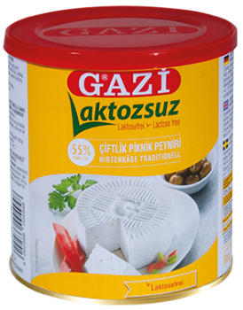Gazi Käse Laktosefrei %55 Fett 500 g (Laktozsuz Beyaz Peynir %55 Yağlı)