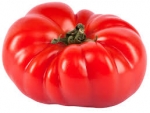 Fleischtomaten 1000 g